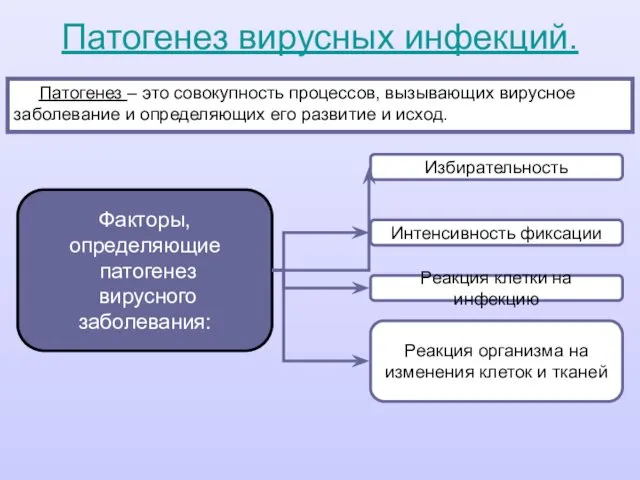 Патогенез вирусных инфекций. Патогенез – это совокупность процессов, вызывающих вирусное заболевание