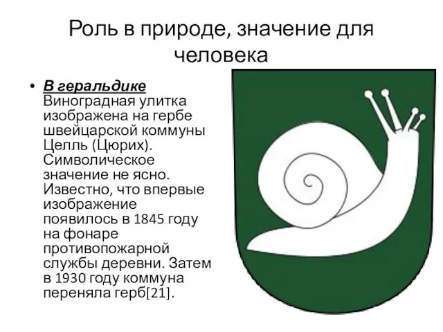 Роль в природе, значение для человека В геральдике Виноградная улитка изображена