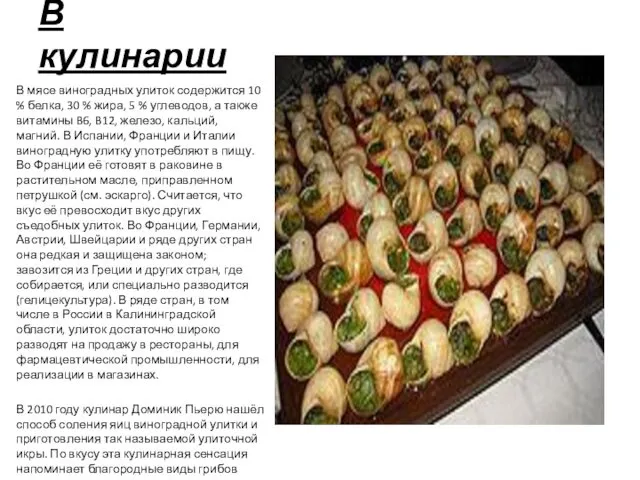 В кулинарии В мясе виноградных улиток содержится 10 % белка, 30