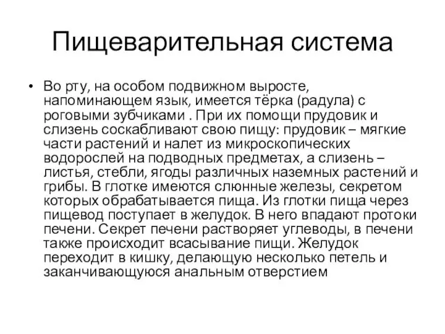 Пищеварительная система Во рту, на особом подвижном выросте, напоминающем язык, имеется