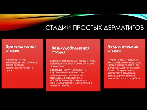 СТАДИИ ПРОСТЫХ ДЕРМАТИТОВ