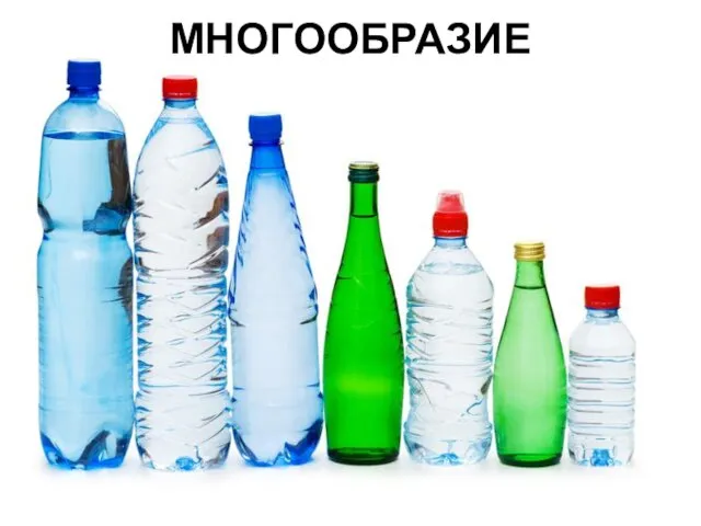 МНОГООБРАЗИЕ