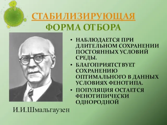 СТАБИЛИЗИРУЮЩАЯ ФОРМА ОТБОРА НАБЛЮДАЕТСЯ ПРИ ДЛИТЕЛЬНОМ СОХРАНЕНИИ ПОСТОЯННЫХ УСЛОВИЙ СРЕДЫ. БЛАГОПРИЯТСТВУЕТ