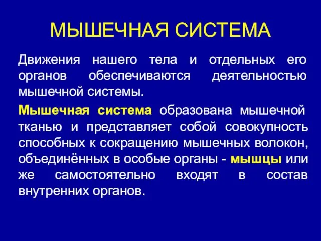 МЫШЕЧНАЯ СИСТЕМА Движения нашего тела и отдельных его органов обеспечиваются деятельностью