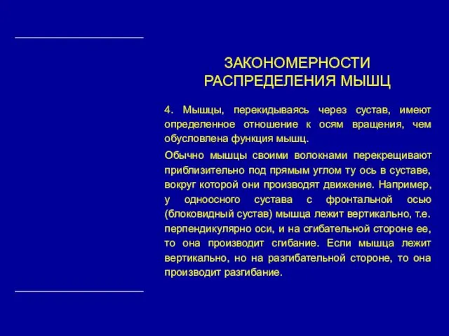 4. Мышцы, перекидываясь через сустав, имеют определенное отношение к осям вращения,