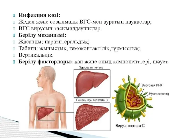 Инфекция көзі: Жедел және созылмалы ВГС-мен ауратын науқастар; ВГС вирусын тасымалдаушылар.