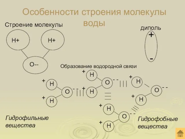 Особенности строения молекулы воды Гидрофильные вещества Гидрофобныевещества