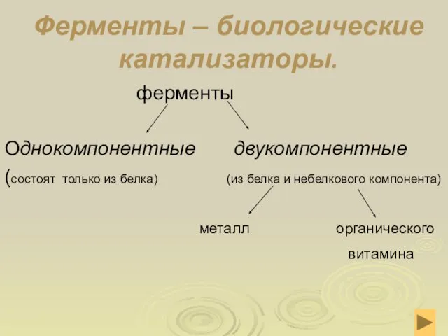 Ферменты – биологические катализаторы. ферменты Однокомпонентные двукомпонентные (состоят только из белка)