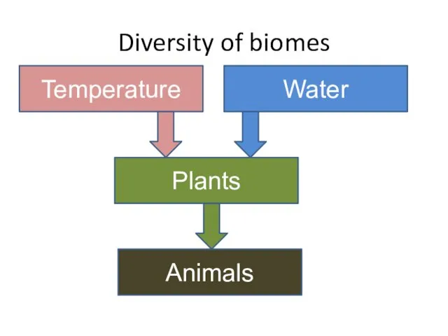 Diversity of biomes Temperature Water Plants Animals