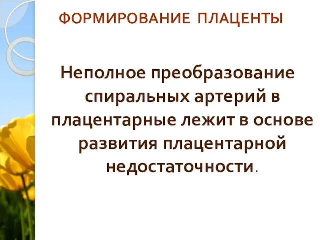 ФОРМИРОВАНИЕ ПЛАЦЕНТЫ Неполное преобразование спиральных артерий в плацентарные лежит в основе развития плацентарной недостаточности.