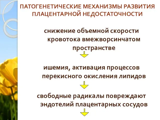 ПАТОГЕНЕТИЧЕСКИЕ МЕХАНИЗМЫ РАЗВИТИЯ ПЛАЦЕНТАРНОЙ НЕДОСТАТОЧНОСТИ снижение объемной скорости кровотока вмежворсинчатом пространстве