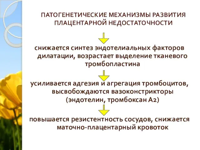 ПАТОГЕНЕТИЧЕСКИЕ МЕХАНИЗМЫ РАЗВИТИЯ ПЛАЦЕНТАРНОЙ НЕДОСТАТОЧНОСТИ снижается синтез эндотелиальных факторов дилатации, возрастает