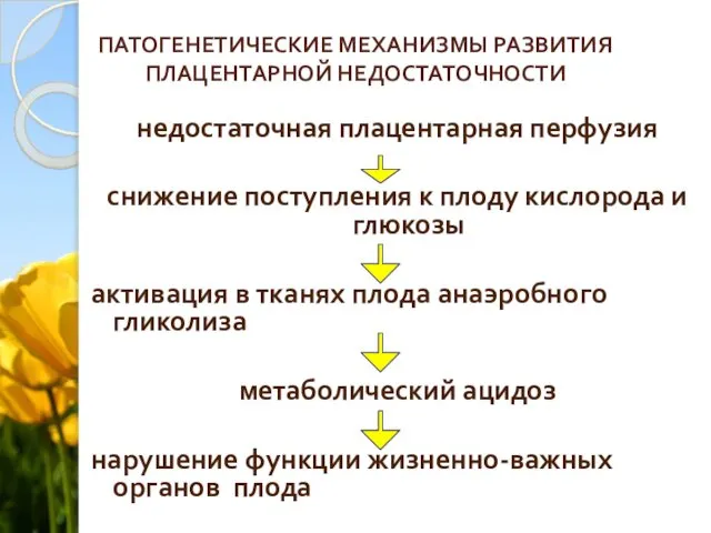 ПАТОГЕНЕТИЧЕСКИЕ МЕХАНИЗМЫ РАЗВИТИЯ ПЛАЦЕНТАРНОЙ НЕДОСТАТОЧНОСТИ недостаточная плацентарная перфузия снижение поступления к