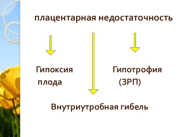 плацентарная недостаточность Гипоксия Гипотрофия плода (ЗРП) Внутриутробная гибель