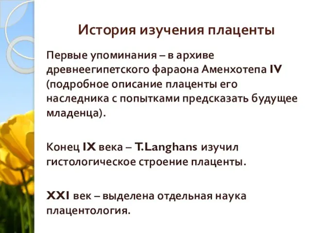 История изучения плаценты Первые упоминания – в архиве древнеегипетского фараона Аменхотепа