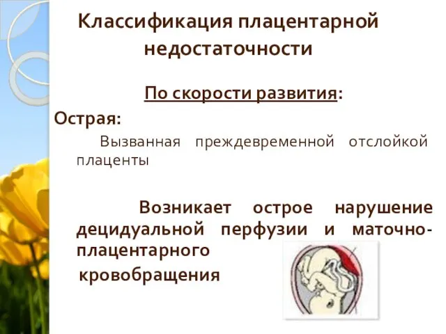 Классификация плацентарной недостаточности По скорости развития: Острая: Вызванная преждевременной отслойкой плаценты