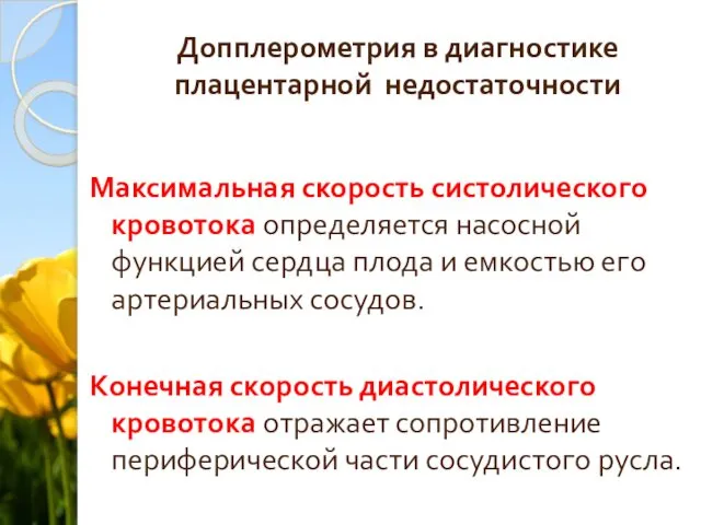 Допплерометрия в диагностике плацентарной недостаточности Максимальная скорость систолического кровотока определяется насосной