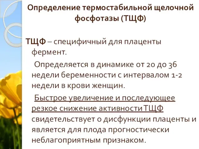 Определение термостабильной щелочной фосфотазы (ТЩФ) ТЩФ – специфичный для плаценты фермент.