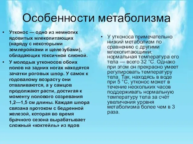 Особенности метаболизма У утконоса примечательно низкий метаболизм по сравнению с другими