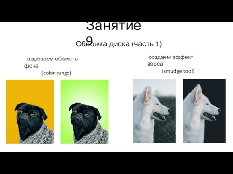 Занятие 9 Обложка диска (часть 1) вырезаем объект с фона (color