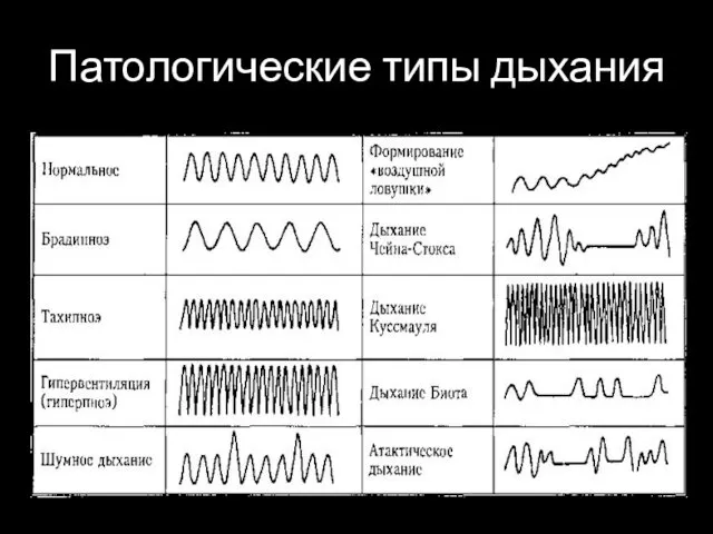 Патологические типы дыхания