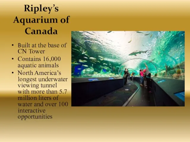 Ripley’s Aquarium of Canada Built at the base of CN Tower