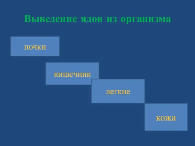 Выведение ядов из организма почки кишечник легкие кожа