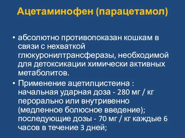 Ацетаминофен (парацетамол) абсолютно противопоказан кошкам в связи с нехваткой глюкуронилтрансферазы, необходимой