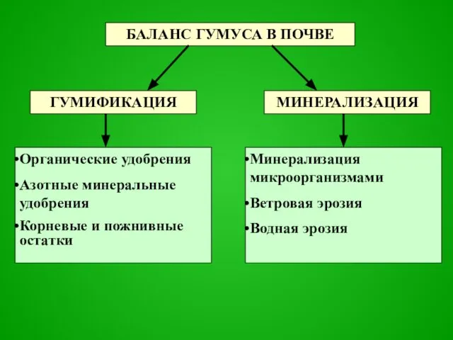 БАЛАНС ГУМУСА В ПОЧВЕ Органические удобрения Азотные минеральные удобрения Корневые и