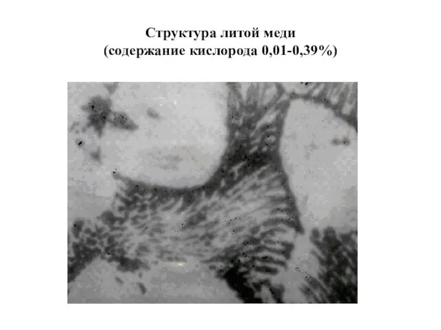 Структура литой меди (содержание кислорода 0,01-0,39%)