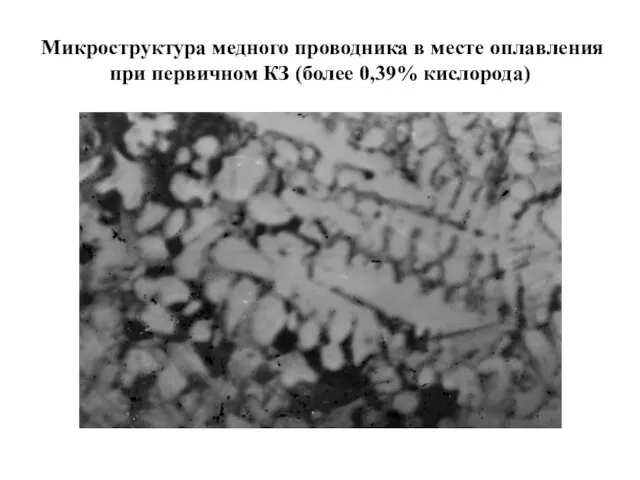 Микроструктура медного проводника в месте оплавления при первичном КЗ (более 0,39% кислорода)