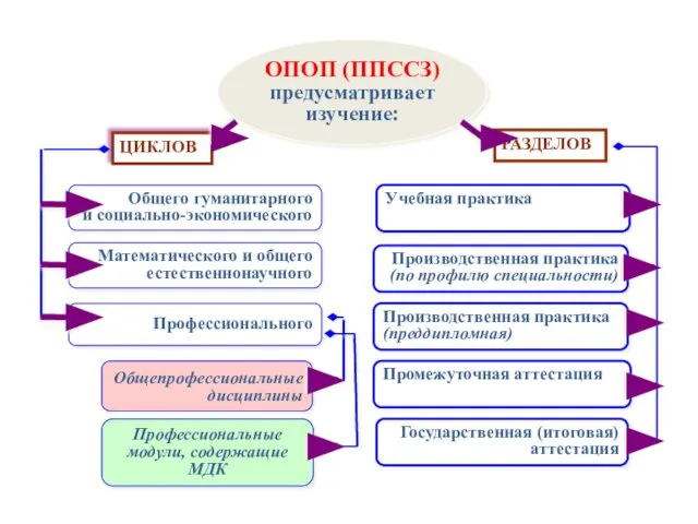 ОПОП (ППССЗ) предусматривает изучение: ЦИКЛОВ РАЗДЕЛОВ Общего гуманитарного и социально-экономического Математического