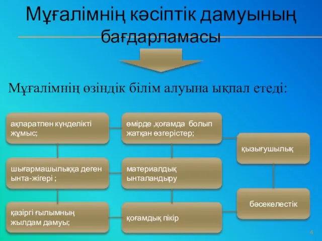 Мұғалімнің кәсіптік дамуының бағдарламасы Мұғалімнің өзіндік білім алуына ықпал етеді: ақпаратпен