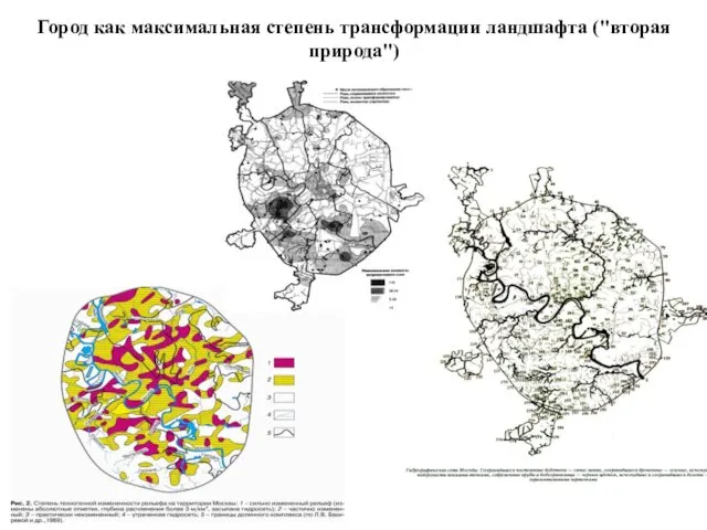 Город как максимальная степень трансформации ландшафта ("вторая природа")