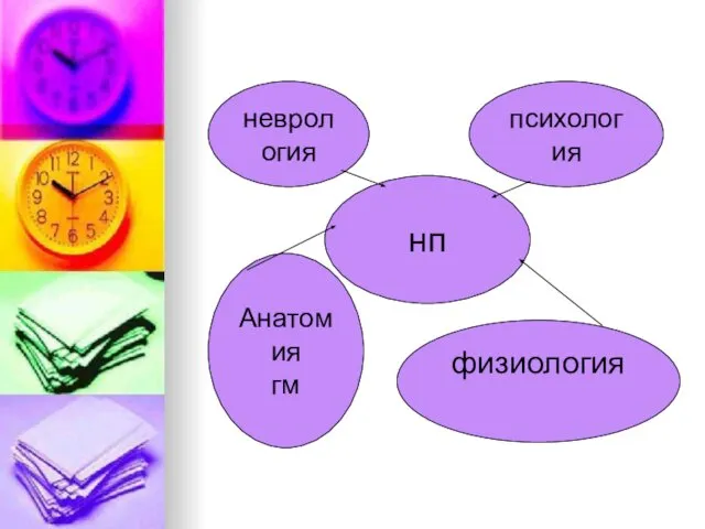 нп неврология психология Анатомия гм физиология