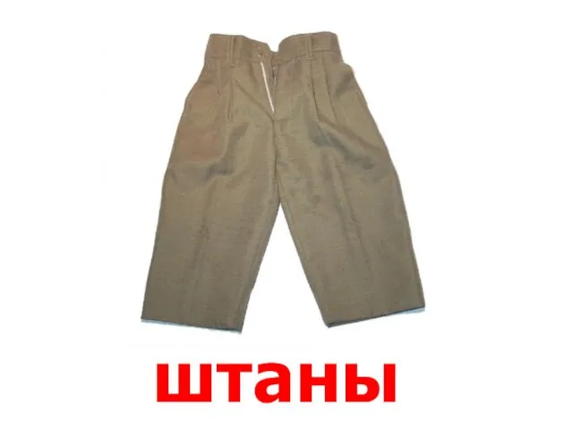 штаны