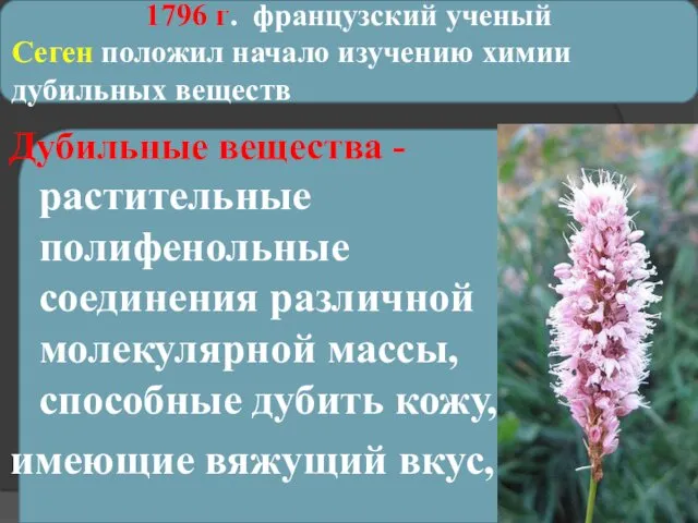 1796 г. французский ученый Сеген положил начало изучению химии дубильных веществ