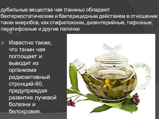 дубильные вещества чая (танины) обладают бактериостатическим и бактерицидным действием в отношении