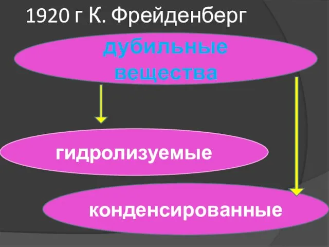 дубильные вещества гидролизуемые конденсированные 1920 г К. Фрейденберг