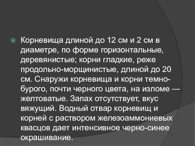 Корневища длиной до 12 см и 2 см в диаметре, по