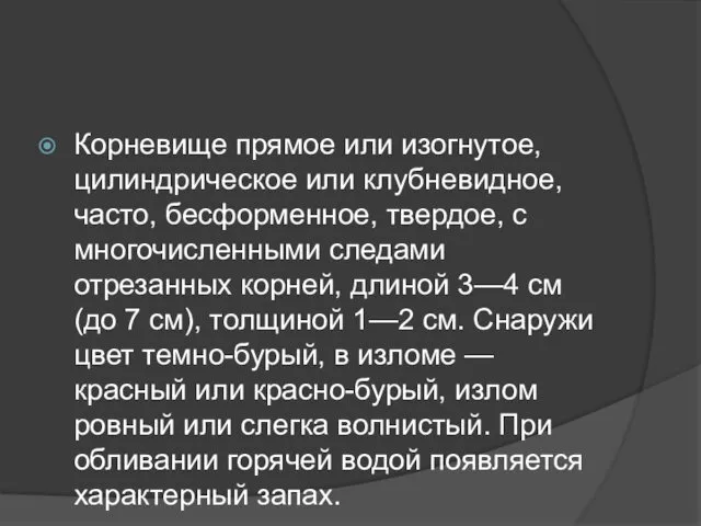 Корневище прямое или изогнутое, цилиндрическое или клубневидное, часто, бесформенное, твердое, с