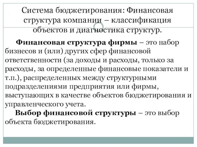 Система бюджетирования: Финансовая структура компании – классификация объектов и диагностика структур.