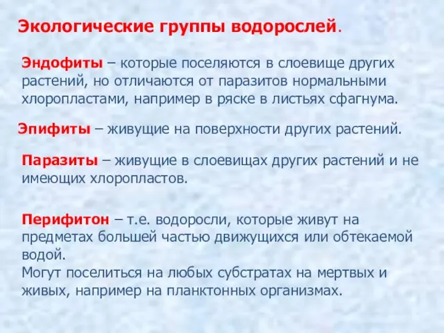 Экологические группы водорослей. Эндофиты – которые поселяются в слоевище других растений,