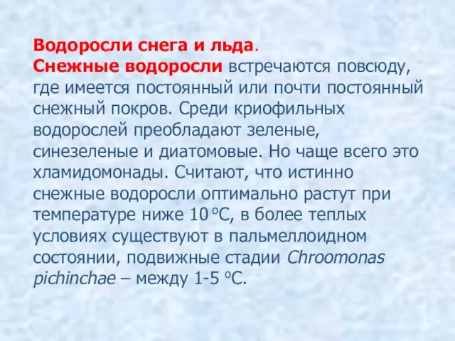 Водоросли снега и льда. Снежные водоросли встречаются повсюду, где имеется постоянный