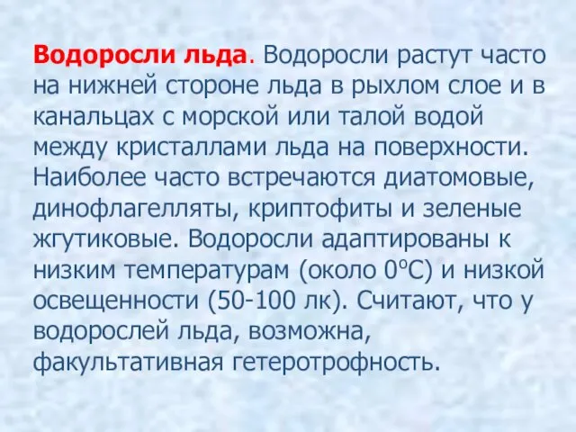 Водоросли льда. Водоросли растут часто на нижней стороне льда в рыхлом