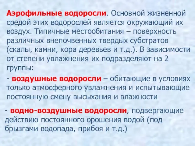 Аэрофильные водоросли. Основной жизненной средой этих водорослей является окружающий их воздух.