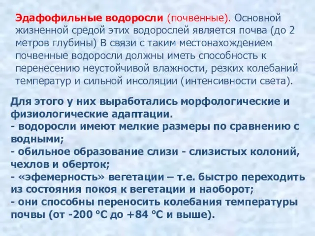 Эдафофильные водоросли (почвенные). Основной жизненной средой этих водорослей является почва (до