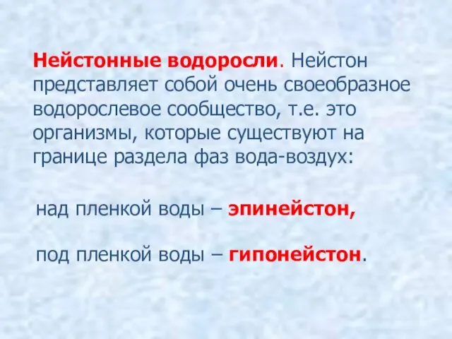 Нейстонные водоросли. Нейстон представляет собой очень своеобразное водорослевое сообщество, т.е. это