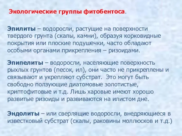 Экологические группы фитобентоса. Эпилиты – водоросли, растущие на поверхности твердого грунта