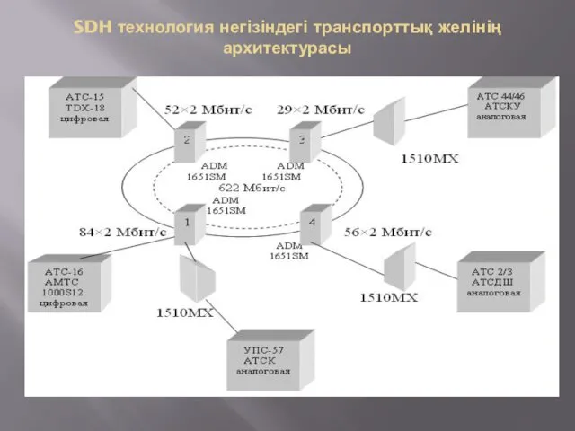 SDH технология негізіндегі транспорттық желінің архитектурасы